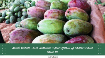 أسعار الفاكهة في سوهاج اليوم 11 أغسطس 2025.. المانجو تسجل 40 جنيها